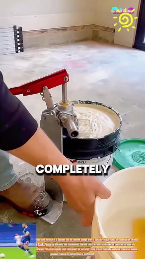 Exploring Family Dynamics: Perspectives on Leaving Home