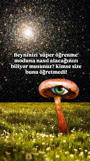 Nöro: Beden ve Beyin | Somatik Dönüşüm 🧠 on Instagram: ""Daha zeki olmak," aslında beynin kendini yeniden organize etme ve yeni bağlantılar kurma kapasitesi olan Nöroplastisiteyi artırmak demektir. Bu sadece düşünsel bir çaba değil; aynı zamanda bedenin ve sinir sisteminin düzenli çalışmasıyla mümkün olur. Aşağıdaki üç bilimsel yol, öğrenme hızını ve bilişsel kapasiteni gerçek anlamda yükseltir: 1. Nöroplastisiteyi Tetiklemek Hebb Yasası: "Birlikte ateşlenen nöronlar, birlikte bağlanır." Yeni a