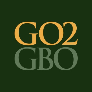 magna grips on an N frame?