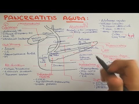 Pancreatitis: causes, pathophysiology, clinical features, diagnosis, and treatment