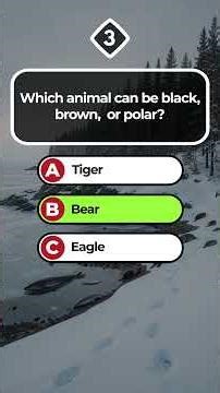 Senior IQ Challenge | Hardest Brain Test