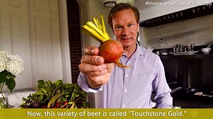 7.1K views · 211 reactions | No beet beats the Touchstone Gold Beet! | P. Allen Smith | Facebook