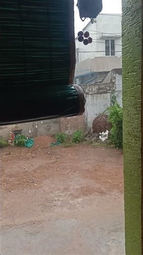 rain felling 🌧️☔😻🤌