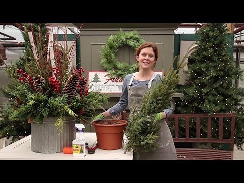 How to make a spruce top pot