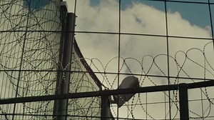 [laroza.co].Tyrannosaur 2011