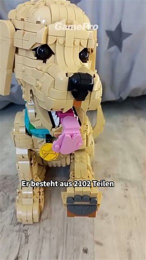 Wir haben den Golden Retriever Welpen von LEGO gebaut und zeigen euch seine Besonderheiten