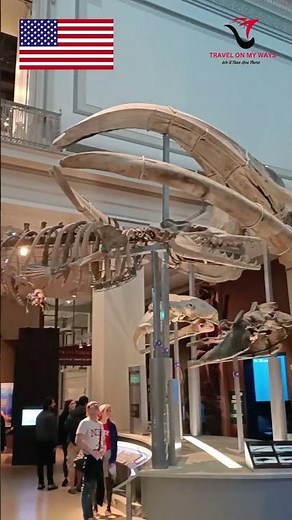 National Museum of Natural History | Washington DC | USA