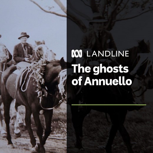A century ago, Annuello, in north-west Victoria, was a bustling soldier-settler town. Today it’s little more than a ghost town, with harsh conditions and unviable land holdings sealing its demise. 🏘️🏚️​ ​ 📚The chance find of an old photo album in a thrift shop sparked plans for a reunion and an opportunity to remember the early settlers.​ ​ Watch Landline on iview on Sundays: https://bit.ly/LandlineABCiview | Create an ABC Account to stream Landline on ABC iview: abc.net.au/signup | ABC Landl