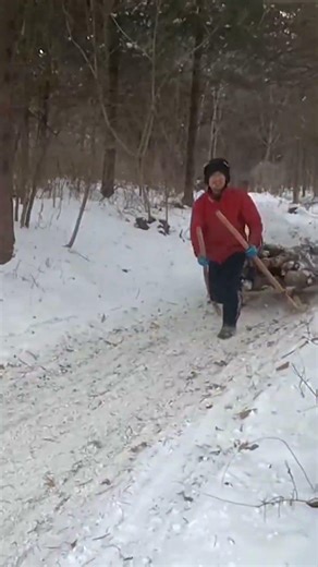 Winter Helps: Transporting Firewood by Sled Using a Downhill Slope
