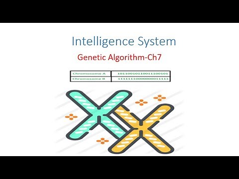 Genetic Algorithm -شرح للالجورزم