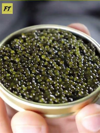 Most expensive food ever 🤯