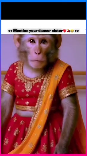 Ai Trendy on Instagram: "“Ee monkey dance steps tho floor fire 🔥😂 Who did it better – Monkey or Humans? 🐒💃” --- #MonkeyDance #FunReels #TrendingNow #ComedyReels #ViralVideo #DanceReel #InstaComedy #MonkeyFun #ReelTrend #LaughOutLoud #CrazyDance #EntertainmentDose #ForYou --- Watch this monkey turning into a dance master 🐒💃🤣 Full energy + full entertainment = viral vibes only! 🔥 Don’t miss the funniest steps ever – this reel is guaranteed to make your day. Share with your friends for doub
