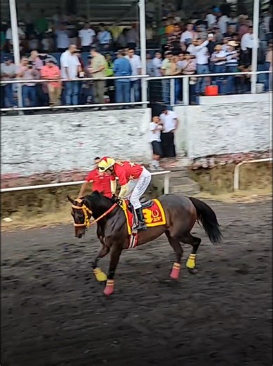 #cuadrakarenmishellracingteam #carrerasdecaballos #caballosdecarreras #🇬🇹 #hipodromoricardomuñoz #15deseptiembre #MySweetCandy