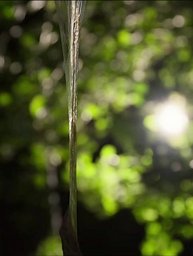 user67339966084 on TikTok