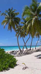 🇩🇴 Dominikánska republika 🏝️ ostrov Saona ✈️ Odlety z Bratislavy do Punta Cana už od 25.10.2023 👉 www.kartago.sk | Kartago tours, a.s.