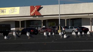9K views · 98 reactions | Attention K-Mart shoppers: 64 K-Mart stores...