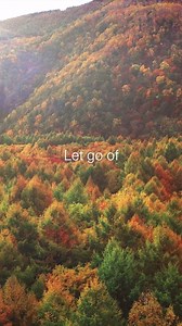 6K views · 65 reactions | Part of practicing the Transcendental Meditation technique is letting go of expectations. We approach our meditation with an open mind, follow the technique as instructed, and simply allow ourselves to experience the benefits. Trying to force a deep mediation counters the simplicity and effortlessness of this practice. | Transcendental Meditation | Facebook