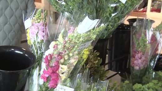 もはや旅の目的地！ 進化する「道の駅」、1200か所以上訪問した“達人”のおすすめは？（2024年2月16日配信） | TBS NEWS DIG Powered by JNN