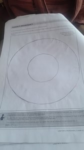 Lesson 1: Worksheet 1Instructions:In the innermost circle, ... | Filo
