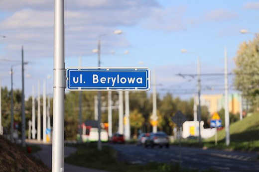 "Nie chcemy asfaltu pod oknami". Mieszkańcy walczą o zielony zakątek na Berylowej. "To egoistyczne z ich strony"