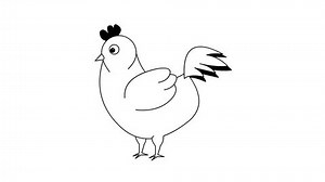 Cartoon Style Animation Chicken Black White Stock Footage Video (100% Royalty-free) 3703596451 | Shutterstock