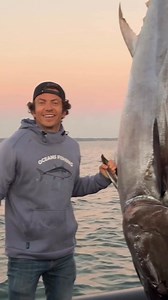 6K views · 151 reactions | Bluefin Tuna fishing over 550lbs, caught...