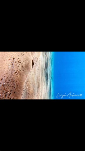 Surfing the sand with Flounders. Bothus podus | Cyprus Ocean
