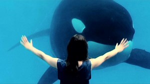 Film Clip: 'Rust and Bone'