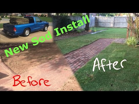 DIY Sod Install (Zoysia Meyer Z-52)