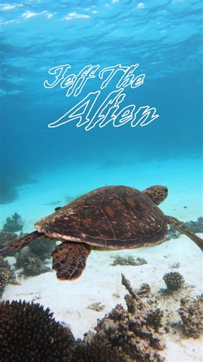 Psychedelic Blues Rock 🍄🍃🍃💨 Blue by Jeff The Alien on ALL streaming services! Have a good day today <3 #JeffTheAlien #rock #blues #psychrock #psychrocktiktok #psych #psychedelic #shroooms #bluesrock #indiemusic #indieartist #music #artist #fyp #foryoupage #indie #newmusic #upandcomingartist #trippy #visuals #trippyvisuals #psychedelicvisuals #bluesrock #guitar #guitarist #guitarsolo #funk #funkrock #funkblues #bluesfunk #funkrock #funky #funkymusic #newmusic #trippymusic #indieartist #funny 