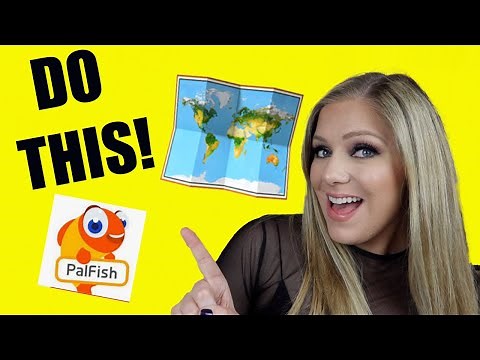PALFISH BACKGROUND 🗺🔆 EXACTLY WHAT TO DO!