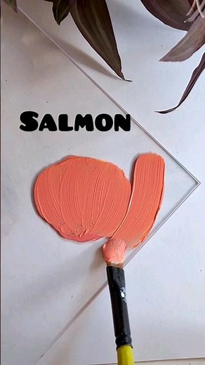 How to get Salmon colour by acrylics | acrylic colour mixing for Salmon #howto #salmon