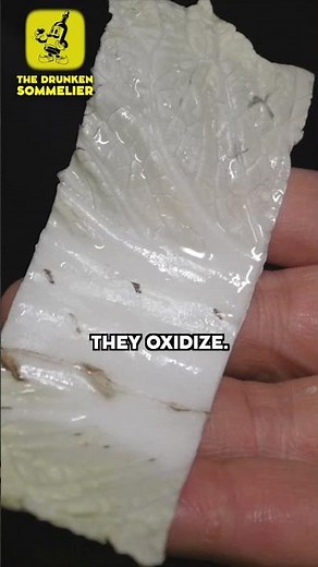 Is That Mold On Your Cabbage? 🥬