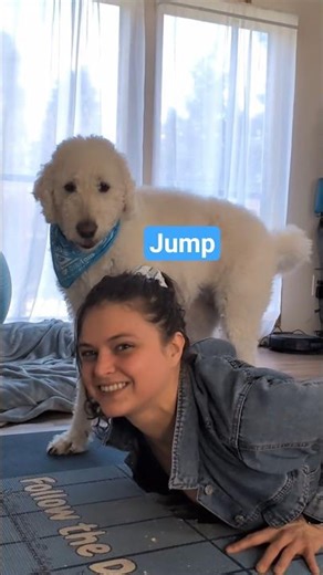 following orders 🤣 #music #jump #jumping #kriskross #funfit #doglife #doga