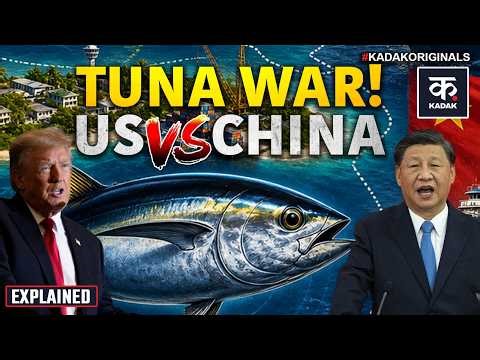 Tuna Fish: इस मछली के बिना ये देश हो जाएंगे कंगाल, 25 Crore Fish के लिए भिड़े America China | Japan