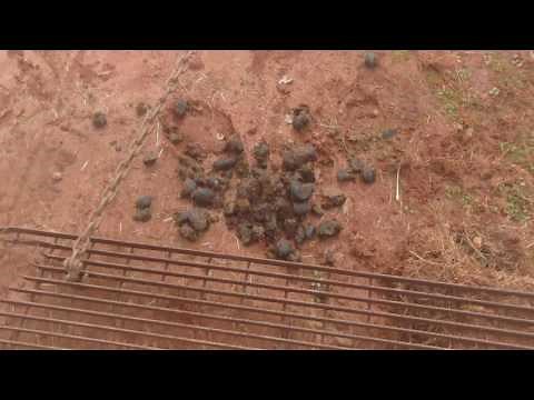 John Deere 2155 - Homemade arena drag (harrow rake)