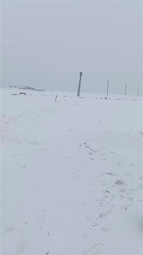 E_N_D_E_R♥️§36 (@e_n_d_e_r_36) adlı kullanıcının Keve - Heme Haci ile oluşturduğu videoları