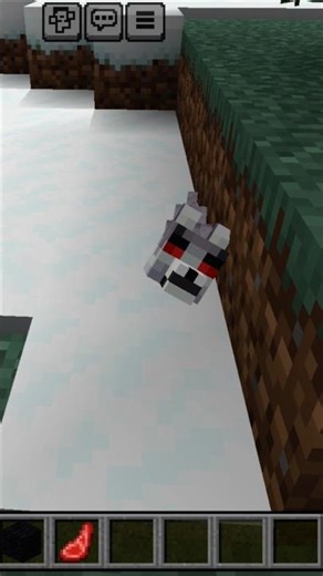 why are minecraft baby wolfs angry #minecraft