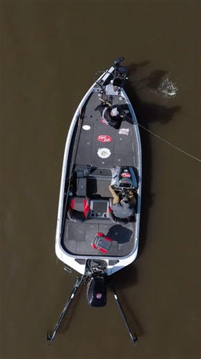 Tournament Angler @malloytim setting the hook on a GIANT Iowa Crappie in the timber!🪵 #csone #summer #fishing | Cold Snap Outdoors