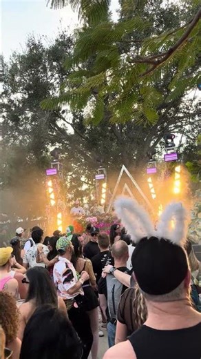 We Belong Here Dec 2025 #edm #webelonghere2025 #cruise