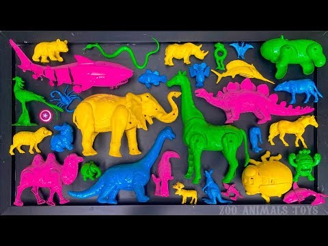 Membersihkan hewan laut, ikan hiu, ikan Nemo, ikan Arapaima, paus orca, gajah, unta, domba, burung