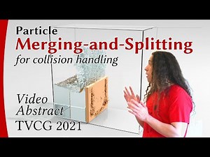 Particle Merging-and-Splitting - Video Abstract, TVCG 2021