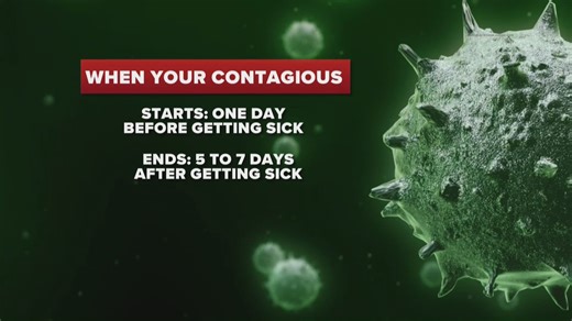 Timeline for flu infections | 2 Wants to Know