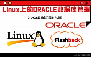 Linux上的ORACLE数据库管理--ORACLE 闪回技术