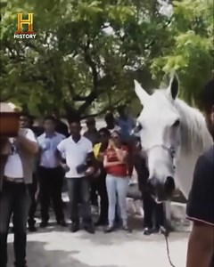 Sin duda, la pérdida de una mascota es uno de los hechos más dolorosos que nos puedan suceder, pero ¿y si fuese al revés? ¿Serían ellos capaces de llorar por nosotros? 📺 Todo esto y más en tu pantalla de History #InexplicableLATAM | HISTORY