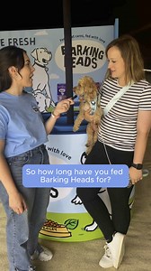 Wishing for prettier poops and healthy skin?🐶 Hekki loves our Bowl Lickin' Goodness Lamb - it's the ultimate everyday wellbeing boost for your pooch. Food that cares, fed with love 💙 | Barking Heads and Meowing Heads