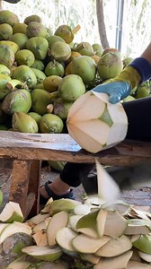 280K views · 917 reactions | Fresh Coconut Cutting skill #reels #coconut #freshcoconut. #coconutwater #coconutcutting #coconutpeeling #fruitfulharvesting #freshfruits #coconutfarming #fruits #farming #farmer #vegan #viral #trending | Fruitfulharvesting | Facebook