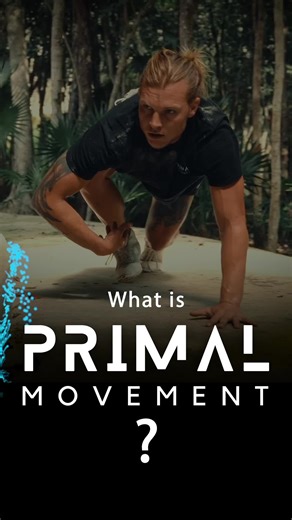 What is Primal Movement? Do you know about these movement? We do them everyday. They are fundamental to our ability to live our life. We can always improve the basic ways we move. As a result of increasing our quality of movement our quality of life will also increase. Schedule an assessment at primalmovement.org/assessment 🎥@Iwar Woolschot #primalmovement #naturalmovement #functional #functionaltraining #primal #movement