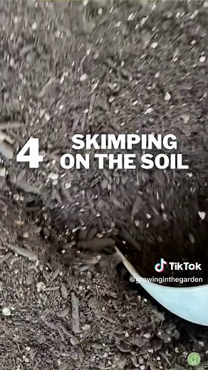 Avoid These 5 Mistakes for Successful Raised Bed Gardening