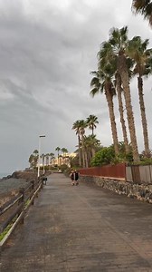 Live | MyCanaryIslands